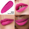 Picture of Oulac Matte Liquid Lipstick 2 PCS Set, Long Lasting Lipstick Waterproof Lip Stain, No Transfer, Creamy High Pigmented Formula with Rose Oil, Vegan [M06+M14]