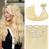 Picture of Platinum Blonde Clip in Hair Extensions Real Human Hair 70G 100% Remy Human Hair Soft Silky Straight for Fashion Women 7pcs 16clips One Pack (22 Inch #60)