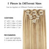 Picture of HOTBANANA Human Hair Clip in Hair Extensions, Balayage Light Blonde Highlighted Golden Blonde (Ash Tone) 120g Clip in Hair Extensions Real Human Hair Straight Remy Hair Extensions 14 Inch 7pcs