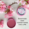 Picture of C.O. Bigelow All Purpose Salve Lip Balm Tins, Sakura Rose Salve Pack of 3 for Chapped Lips & Dry Skin - Moisturizing Lip, Cuticle and Skin Salves, 0.8 oz each