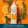 Picture of Grove Co. Hydrating Gel Hand Soap Refills (3 x 13 Fl Oz) Plastic-Free Liquid Hands Cleaner Refill Set, Leaves Hands Soft and Clean, 100% Natural Orange & Rosemary Fragrance