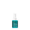 Picture of Moroccanoil Protect & Prevent Spray, 1.7 Fl Oz