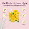 Picture of Lily Of The Desert Gelly Moisturizer - 99% Organic Aloe Vera Gel for Skin, After Sun Care with Aloe, Vitamin E Oil, and Vitamin C for Sunburn Relief, 12 Fl Oz (Pack of 2)