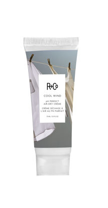 Picture of R+Co Cool Wind pH Perfect Air Dry Creme Deluxe | Air Dry Styler Tames Frizz + Hydrates | Vegan + Cruelty-Free | 0.5 Oz