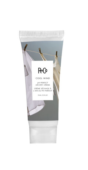 Picture of R+Co Cool Wind pH Perfect Air Dry Creme Deluxe | Air Dry Styler Tames Frizz + Hydrates | Vegan + Cruelty-Free | 0.5 Oz