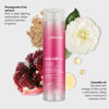 Picture of Joico Colorful Anti-Fade Shampoo | For Color-Treated Hair | Preserve Hair Color & Vibrancy | Boost Shine & Reduce Breakage | Sulfate Free | With Camellia Oil & Pomegranate Extract | 10.1 Fl Oz