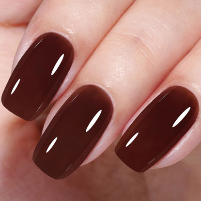 Picture of AILLSA Brown Jelly Gel Nail Polish Dark Cocoa Translucent Gel Polish Amber Color Fall Gel Polish Long Lasting Chocolate Coffee Nails Soak Off U V Gel for Nail Art at Home Valentine Gift 0.51 Oz GB131