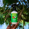 Picture of Locsanity Grapefruit Coconut & Lime Daily Moisturizing Spray Fine Mist