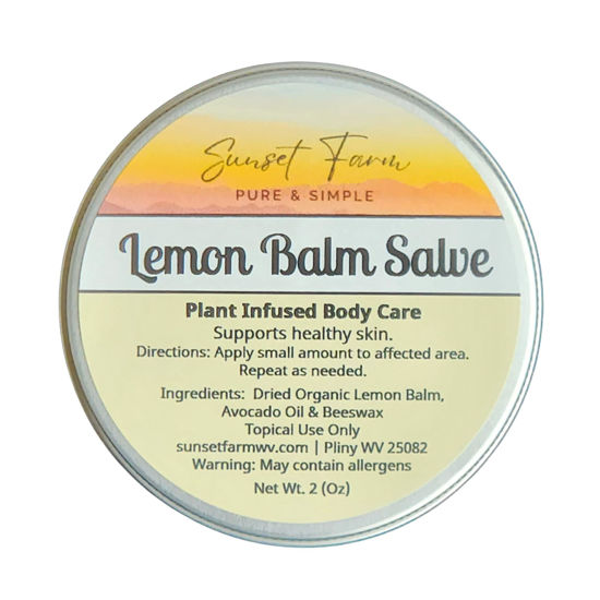 Picture of Lemon Balm Salve Herbal Balm Skin Body Care Ointment 2 oz
