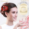 Picture of RC ROCHE ORNAMENT 6 Pcs Womens Square Strong Grip Secure Hold Inner Teeth Styling Plastic Comfortable Curve No Slip Beauty Accessory Girls Ladies Claw Clamp Clip, Large Classic Multicolor