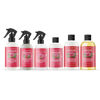 Picture of Locsanity Rosewater Peppermint Loccare Bundle Dreadlock, Sisterlocks, Microlocks, Locs Fine Mist