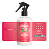 Picture of Locsanity Rosewater Peppermint Loccare Bundle Dreadlock, Sisterlocks, Microlocks, Locs Fine Mist