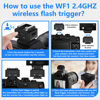 Picture of MEDALight WF1 2.4G Wireless Flash Trigger for Canon Nikon Sony Pentax DSLR Cameras Wireless Flash Trigger Transmitter and Receiver for Camera Flashes with Hot Shoe Mount(Black).