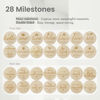 Picture of Baby Monthly Milestone Wooden Circles, Hello World Newborn Sign, Month Baby Milestone Signs for Newborn Photography Props, Set of 14 Baby Monthly Milestone Wood Discs Props for Baby Boy & Girl