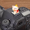 Picture of Camera Hot Shoe Cover, Cute Hot Shoe Cap, Hot Shoe Protector Compatible with Sony Fujifilm Fuji Canon Nikon Pentax Leical Panasonic (Lucky Cat)