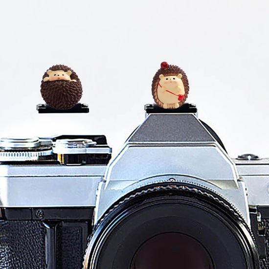 Picture of Camera Hot Shoe Cover, Cute Hot Shoe Cap, Hot Shoe Protector Compatible with Sony Fujifilm Fuji Canon Nikon Pentax Leical Panasonic (2pcs Hedgehog)