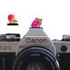 Picture of Camera Hot Shoe Cover, Cute Hot Shoe Cap, Hot Shoe Protector Compatible with Sony Fujifilm Fuji Canon Nikon Pentax Leical Panasonic (2pcs Grape Peach)