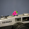Picture of Camera Hot Shoe Cover, Cute Hot Shoe Cap, Hot Shoe Protector Compatible with Sony Fujifilm Fuji Canon Nikon Pentax Leical Panasonic (2pcs Grape Peach)