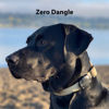 Picture of TagVault™ AirTag Dog Collar Mount - IP69 Waterproof, Doesn't Dangle, Fits All Width Collars | Elevation Lab