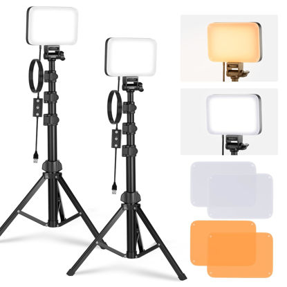 Picture of NEEWER Basic LED Video Light Panel Lighting Kit, 2 Pack Bi Color Dimmable Portable Studio Lights with Stands & Filters, 3200K~5600K CRI 95 750lux for Photography Video Recording Live Streaming, BP66