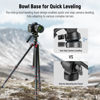 Picture of NEEWER Tripod Fluid Head with +/-10° Leveling Base(37mm Dia.), Metal Pan Tilt Head with Arca Type QR Plate, Telescopic Handle for Compact Video Camera DSLR Camera, Max Load 8.8lb/4kg, GM27