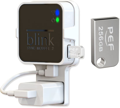 Picture of 256GB Blink USB Flash Drive and Outlet Wall Mount for Blink Sync Module 2, Space Saving for Blink Outdoor Indoor Security Camera (Blink Sync Module 2 is NOT Included)