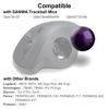 Picture of SANWA Trackball 34mm/1.34in, Replacement Ball for Logitech m575, m570, MX Ergo, Perixx, Kensington, Elecom, and Other Compatible Trackball Mouse, Glossy Purple