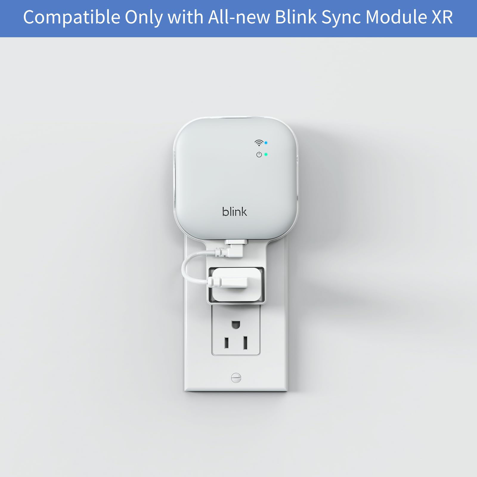 GetUSCart- 256GB MicroSD Card and All-New Blink Sync Module XR Mount ...