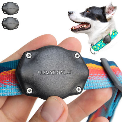 Picture of TagVault™ AirTag Dog Collar Mount (2 Pack) - IP69 Waterproof, Doesn't Dangle, Fits All Width Collars | Elevation Lab