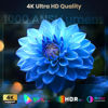 Picture of HAPPRUN 4K Home Theater Projector with 1000 ANSI Lumens Ultra HD Image, Auto Focus, WiFi 6 and Bluetooth 5.2, Projector for Indoor/Outdoor, Compatible with TV Sticks, Gaming Consoles, Phones