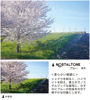 Picture of Kenko Soft Effect Filter NOSTALTONE Blue φ49mm, with Color Effect, for Contrast Adjustment, Made in Japan 006214