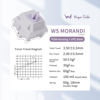 Picture of WS Morandi Mechanical Keyboard Switches 5 Pins PCB Mount Pre Lubed Switches(35pcs)