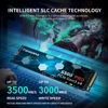 Picture of fanxiang S500 Pro 256GB NVMe SSD M.2 PCIe Gen3x4 2280 Internal Solid State Drive, SLC Cache 3D NAND TLC, Up to 3500MB/s, Compatible with Laptop and PC Desktops(Black)