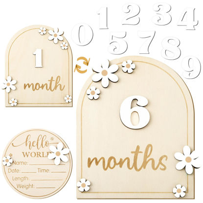 Picture of GGSTDDUP Baby Monthly Milestone Cards with Hello World Newborn Sign, Daisy Baby Milestone Signs Baby Monthly Milestone Wood Discs Baby Announcement Sign for Baby Growth Photo Props