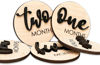 Picture of Baby Monthly Milestone, Wooden Baby Milestone Signs, Monthly Milestone Wood Discs, Baby Milestone Discs (S001)