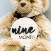 Picture of Baby Monthly Milestone, Wooden Baby Milestone Signs, Monthly Milestone Wood Discs, Baby Milestone Discs (S001)