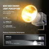 Picture of NEEWER 60W Portable RGB LED Video Light Handheld Fill Light, APP/2.4G/Panel Control 18 Scenes 8700Lux/1m 2700-6500K CRI97+ Dimmable COB Continuous Output Lighting for Video Recording Streaming, HS60C