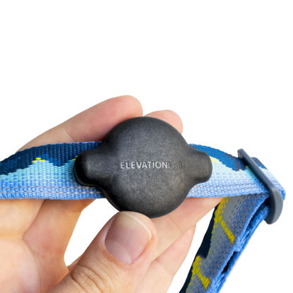 Picture of Elevation Lab TagVault™ Compact AirTag Dog Collar Mount - IP68 Waterproof, Doesn't Dangle, Fits All Width Collars