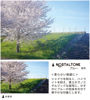 Picture of Kenko Soft Effect Filter NOSTALTONE Blue φ62mm, with Color Effect, for Contrast Adjustment, Made in Japan 006573