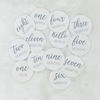 Picture of Natural Baby Milestone Discs - White Stain Wood Milestone Disc Set with Bag and Hello World Announcement Card - 13 Wooden Milestones Cards, Newborn Monthly First Year Picture Props, 1-12 Months