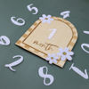 Picture of Baby Monthly Milestone, Wooden Baby Milestone Signs, Monthly Milestone Wood Discs, Baby Milestone Discs, Baby Photo Props Cards Interchangeable Number Set of 12 for Baby Growth Recording (Caro Card)