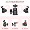 Picture of Lanxire Camera Hot Shoe Mount with 1/4" Screw and Ball Head Adapter - Compatible with Camera, Camcorder, Smartphone, Action Camera, LED Lights, Microphone - 2 Pack