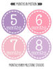 Picture of Months in Motion Baby Monthly Stickers - Baby Milestone Stickers - Newborn Girl Stickers - Month Stickers for Baby Girl - Baby Girl Stickers - Newborn Monthly Milestone Stickers