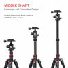 Picture of BONFOTO B690A Camera Tripod for Travel,Lightweight Aluminum Portable DSLR Tripod with 360 Degree Ball Head and Carry Bag, Camera Stand for Ring Light & Canon Nikon Sony DSLR