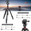 Picture of BONFOTO B690A Camera Tripod for Travel,Lightweight Aluminum Portable DSLR Tripod with 360 Degree Ball Head and Carry Bag, Camera Stand for Ring Light & Canon Nikon Sony DSLR