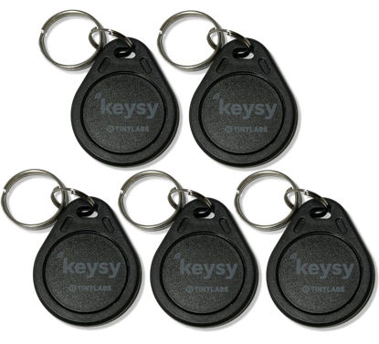 Picture of Keysy Rewritable RFID Key Fobs (5-Pack, Black)