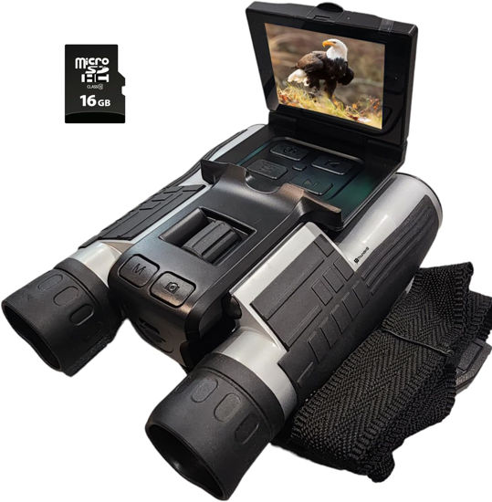 Picture of High Powered Binoculars 12 x 32 with Dual Digital Camera & Video Recording - Binocular Compact 5MP Camcorder for Bird Watching, Football, Concerts, and Hunting with 2.4” LCD Screen Night Vision Zoom