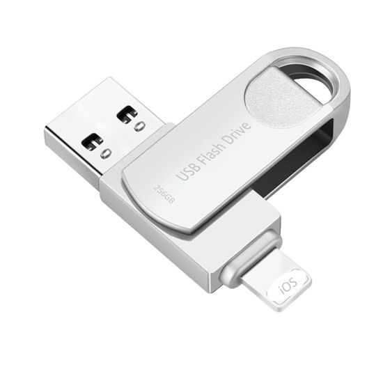 Picture of USB Flash Drive 256GB Photo Stick for iPhone Flash Drive Memory Stick Thumb Drive High Speed USB Stick External Storage DEZOBYTE Compatible for i-Phone Pad Android USB C PC MS-256GB Silver