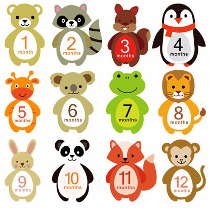 Picture of First Year Milestone Monthly Stickers, Qyeaber Newborn Baby 1-12 Months Photo Props Baby Belly Stickers, Baby Shower Registry Gift Scrapbook Album Photo Memory Keepsake for Baby Boy Girl (Animal)