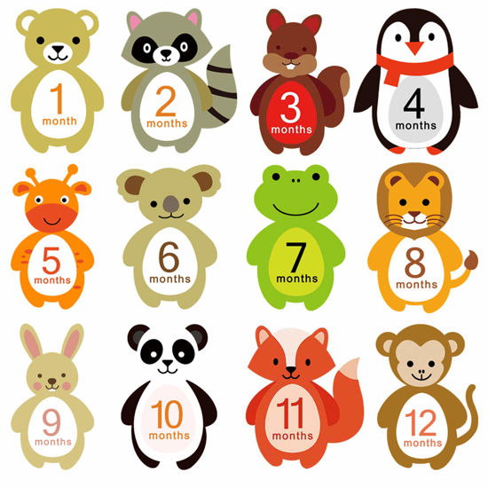 Picture of First Year Milestone Monthly Stickers, Qyeaber Newborn Baby 1-12 Months Photo Props Baby Belly Stickers, Baby Shower Registry Gift Scrapbook Album Photo Memory Keepsake for Baby Boy Girl (Animal)
